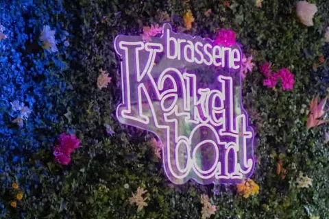 Hotel de Villa foto 16