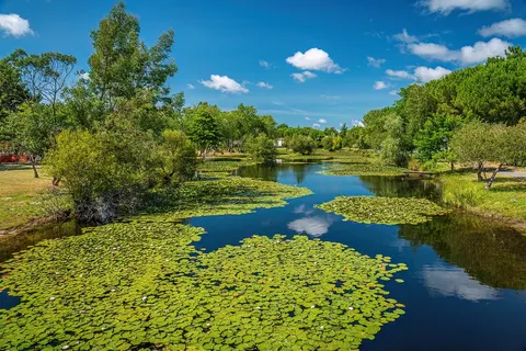 Camping Orée Du Bois - Hourtin foto 15