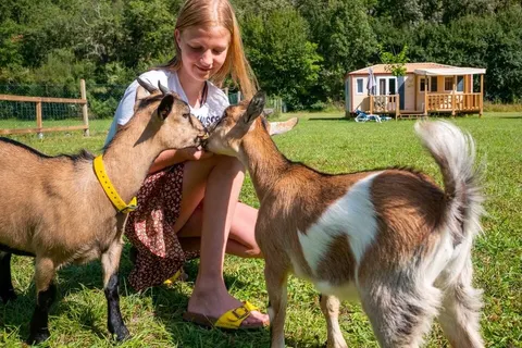 Camping Moulin Du Bel-air foto 19