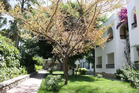Hotel Toloman in Bodrum, foto 21
