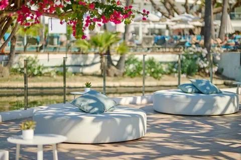 Alua Boccaccio foto 10