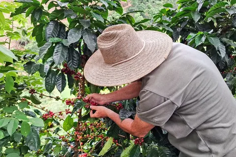 Rondreis Compleet Colombia in Rondreizen — foto 11