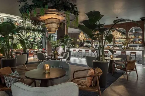 THesis Hotel Miami in Coral Gables — foto 16