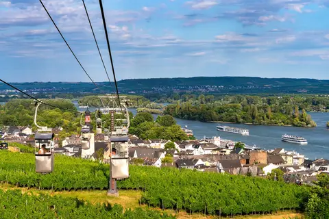 Over de Rijn naar Rüdesheim in Rijn — foto 5
