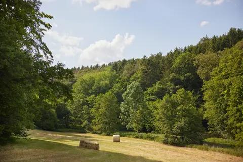 Center Parcs Park Eifel in Gunderath — foto 15