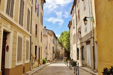 Camping La Roudelière foto 19