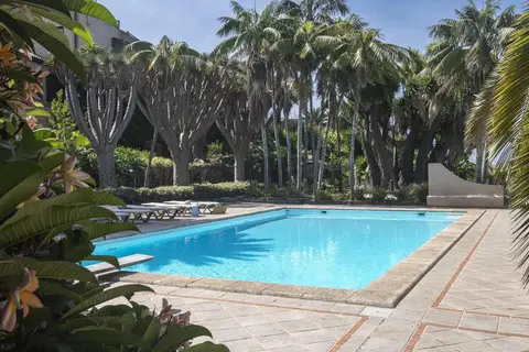 Finca San Diego in La Matanza de Acentejo — foto 14