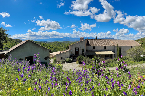 Finca las Nuevas foto 2