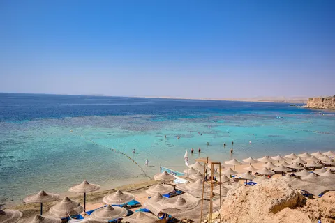 Dive Inn in Sharm El Sheikh — foto 6