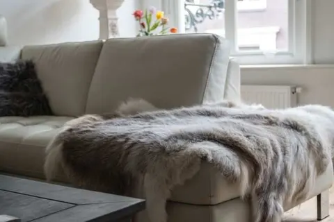 Luxe Cityhouse De Rozenboom foto 7