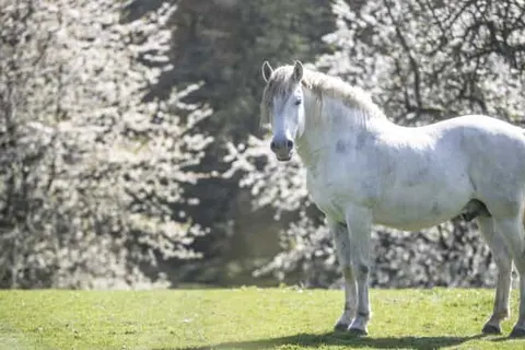 Merici Hotel Sittard foto 20