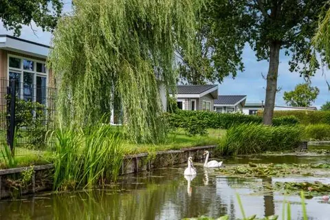 TopParken Park Westerkogge foto 6