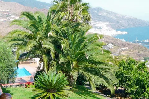 Villas Los Pajeros in Breña Baja — foto 8