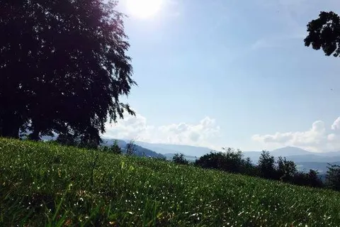 Haus Florian Lam foto 23