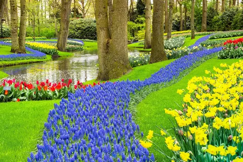 Bloemencruise vanaf Rotterdam foto 2