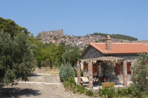 Appartementen Villa's Elpiniki foto 15