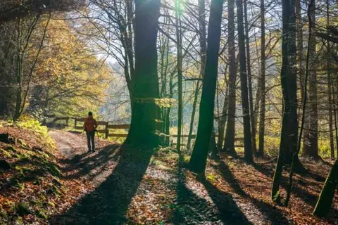 Hotel Restaurant Barbarossahof foto 33