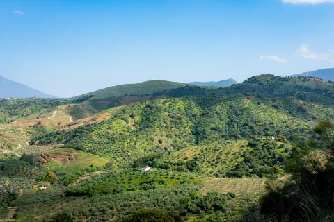 Hacienda Guaro Viejo in Guaro — foto 15