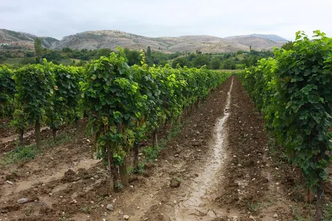 8 daagse fly drive Magisch Noord Macedonië foto 5