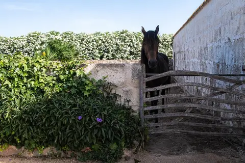 Agroturismo Son Juaneda in Ciutadella, foto 2