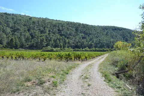 Camping De L Olivigne in Bize-Minervois — foto 13
