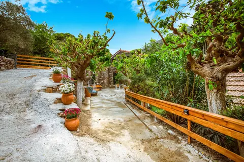 Ellafos Traditional Living in Perivolia — foto 16