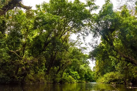 Ontdek Maleisië - Met gids / chauffeur in Miri — foto 7