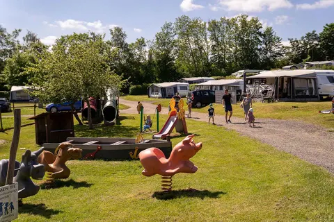 Camping Tempelkrogen foto 5