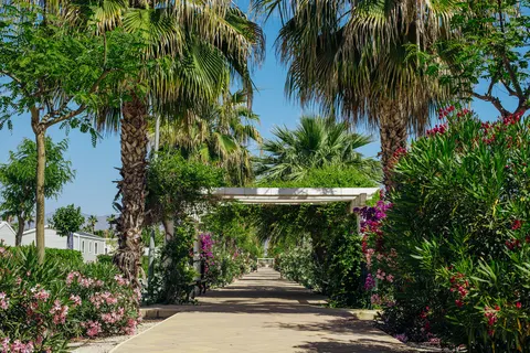 Camping Alannia Costa Blanca foto 2