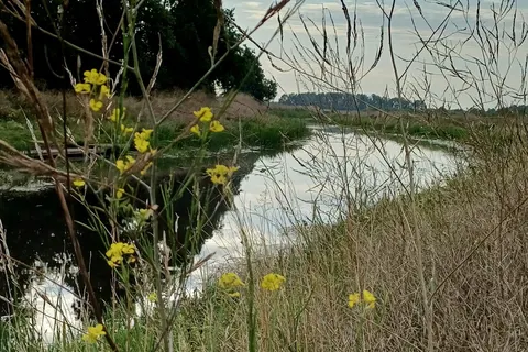 Camping Hunze Bulten foto 7