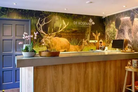 Vakantiepark de Bosrand foto 18