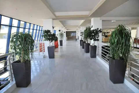 Kos Palace Hotel in Zipari, foto 11