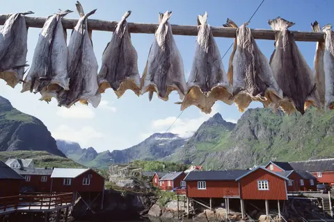 Ontdek Tromsø, Lofoten & Vesterålen in Noorwegen — foto 15