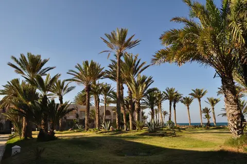 Zita Beach Resort in جرجيس — foto 2