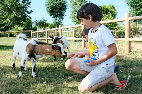 Camping Haliotis foto 12