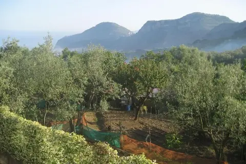 Hotel Royal Hills in Piano di Sorrento, foto 28