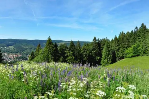 ACHAT Hotel Suhl foto 22