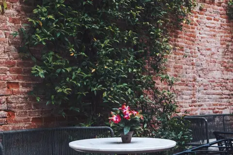 Hotel El Coloquio in Valladolid — foto 21