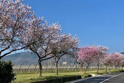 Gutshof Ziegelhütte foto 21