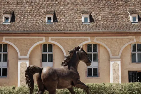 Hôtel Les Haras in Straatsburg, foto 17