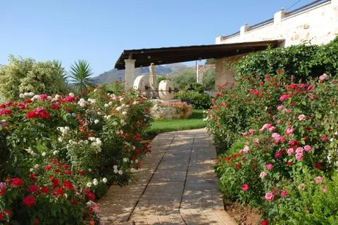 Kavousi Resort in Φαλάσαρνα — foto 11