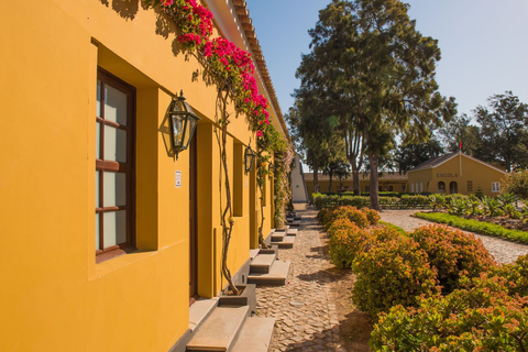 Eco Hotel Vila Gale Albacora foto 2