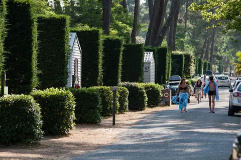 Camping La Pinède foto 22