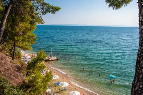 Acrotel Athena Pallas in Δημοτική Ενότητα Σιθωνίας — foto 12