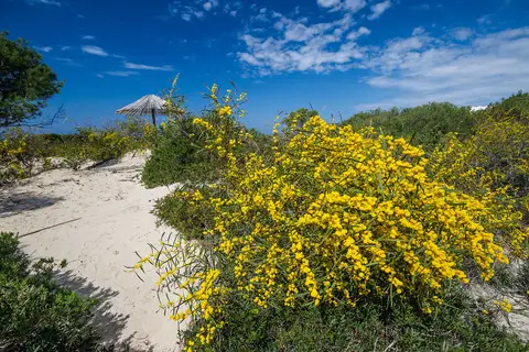 Hotel Ecoresort Le Sirene in Gallipoli — foto 7