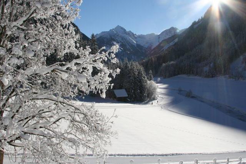 Gut Raunerhof foto 8