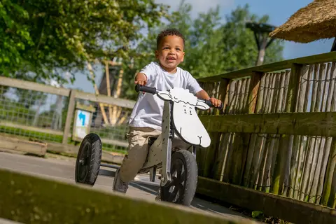 Familie Resort Molenwaard in Ottoland — foto 25