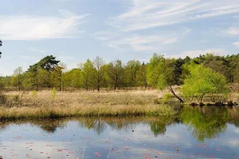 Oostappen Vakantiepark Boschbeek foto 5