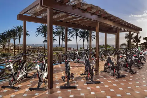 Meliá Jardines Del Teide in Adeje — foto 21