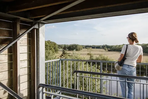 Camping De Baalse Hei foto 10